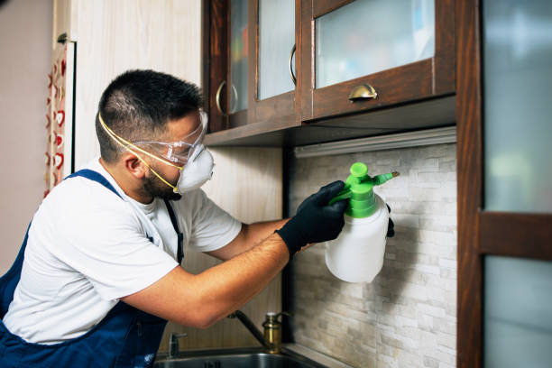 Best Residential Pest Control  in Lexington, TX
