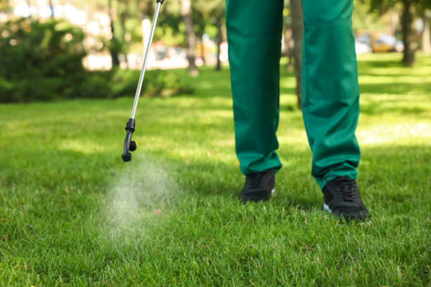Flea Control Services in Lexington, TX