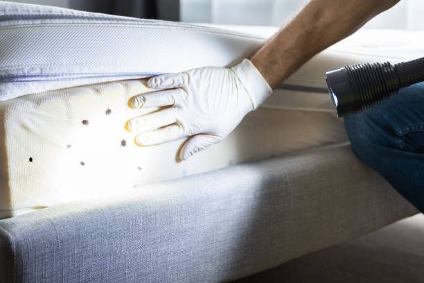 Best Exterminator Services  in Lexington, TX