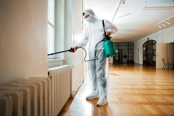 Best Local Pest Control Services  in Lexington, TX