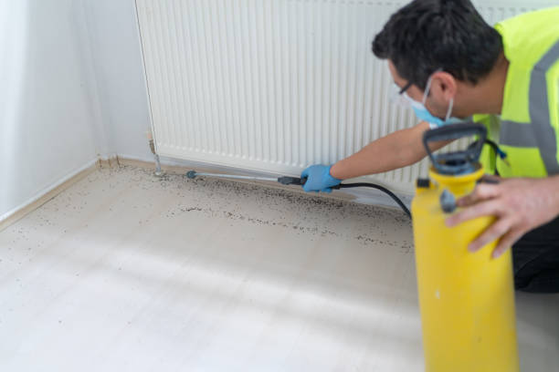 Best Rat Extermination Near Me  in Lexington, TX