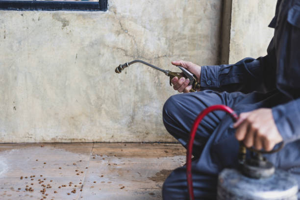 Best Residential Pest Control  in Lexington, TX